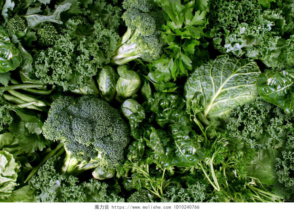 绿色的蔬菜和深色绿叶食品背景作为一个健康的饮食概念的新鲜花园生产有机增长作为健康作为羽衣甘蓝莙菠菜甘蓝叶在内椰菜和卷心菜的象征
